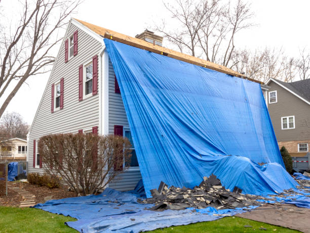 Best Demolition Debris Removal  in Weidman, MI