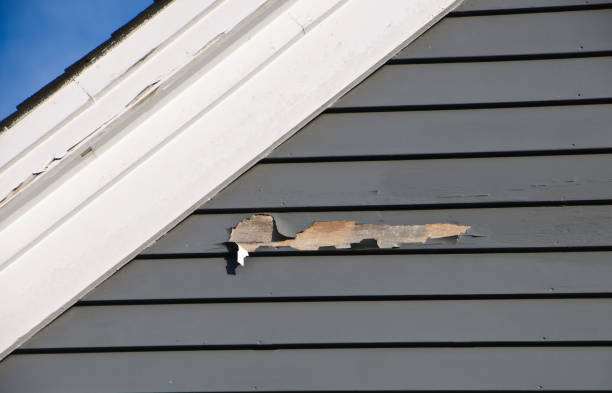 Best Carpet Removal and Disposal  in Weidman, MI